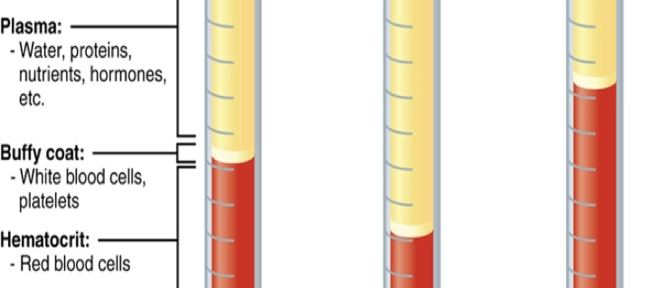 blood vial composition diagram